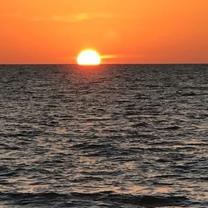 Meet your Posher, Josh